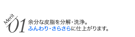 余分な皮脂を分解・洗浄。ふんわり・さらさらに仕上がります。