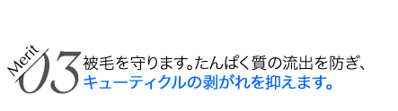 被毛を守ります。たんぱく質の流出を防ぎ、キューティクルの剥がれを抑えます。