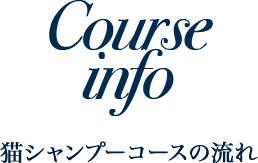 猫シャンプーコースの流れ