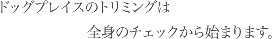 ドッグプレイスのトリミングは全身のチェックから始まります。