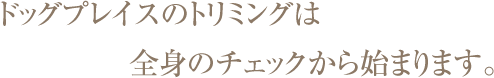 ドッグプレイスのトリミングは全身のチェックから始まります。