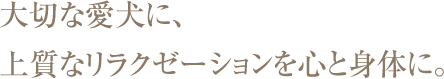 大切な愛犬に、上質なリラクゼーションを心と身体に。